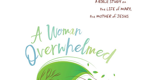 A Woman Overwhelmed Now Available!