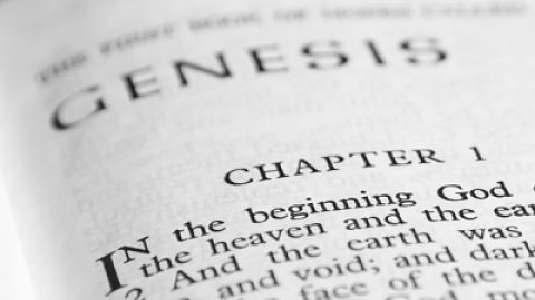 Order From Chaos: New Year’s Cleaning and Genesis One