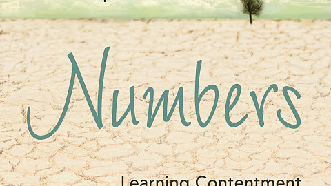 Experience the Numbers Bible Study